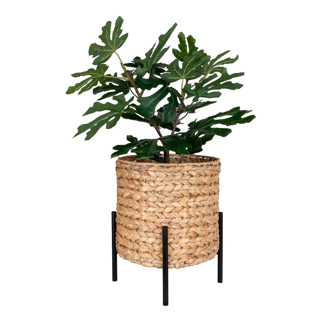 Antas Flowerpot - Flowerpot, water hyacinth, black/nature ø26,5x29 cm