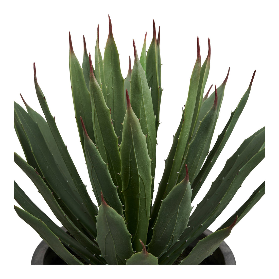 Agave Plant - With pot, artificial, green/gray, H:41 cm