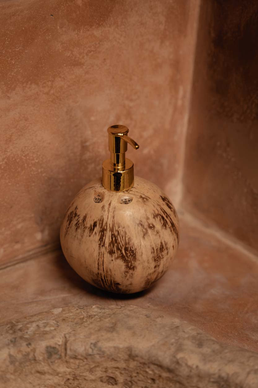 The Coconut Soap Dispenser