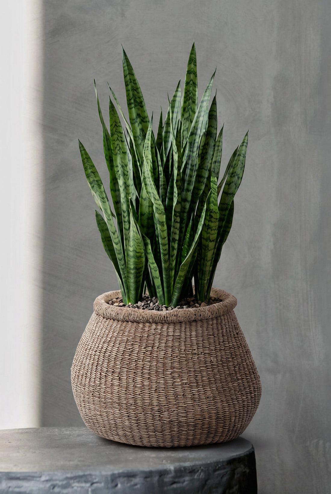 The Faux-Puff Planter - Brown - L
