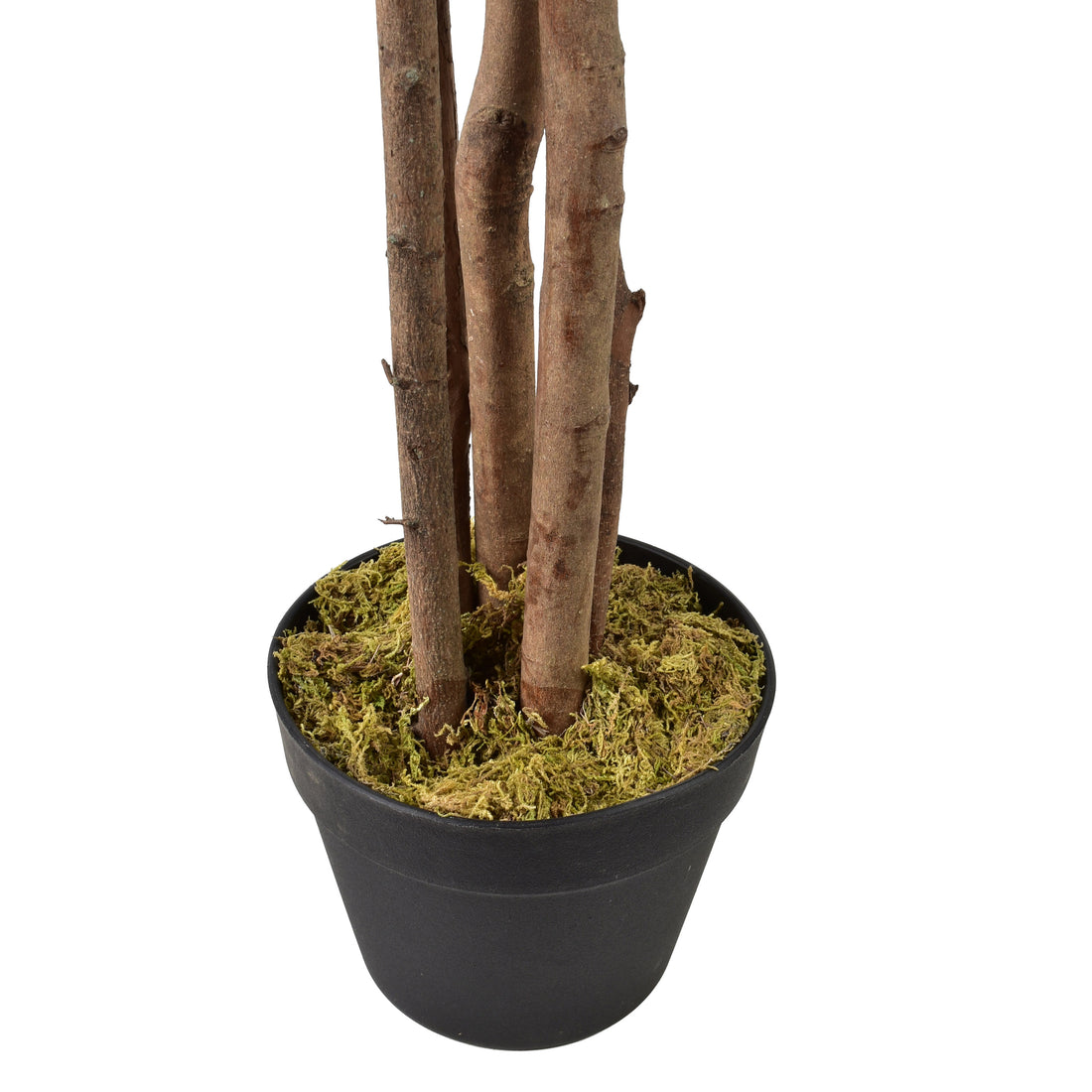 VIRIDIS Kwiat sztuczny Kroton 145cm w dniczce