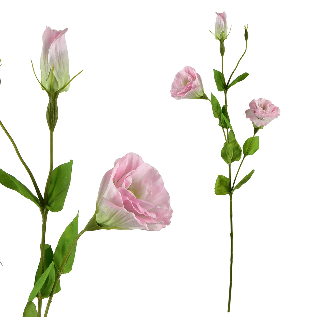 VIRIDIS Kwiat sztuczny Eustoma 70cm gumowany