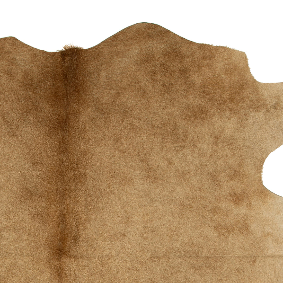 K128 | Unieke Koeienhuid | Beige & Bruin | ca. 180 x 160cm