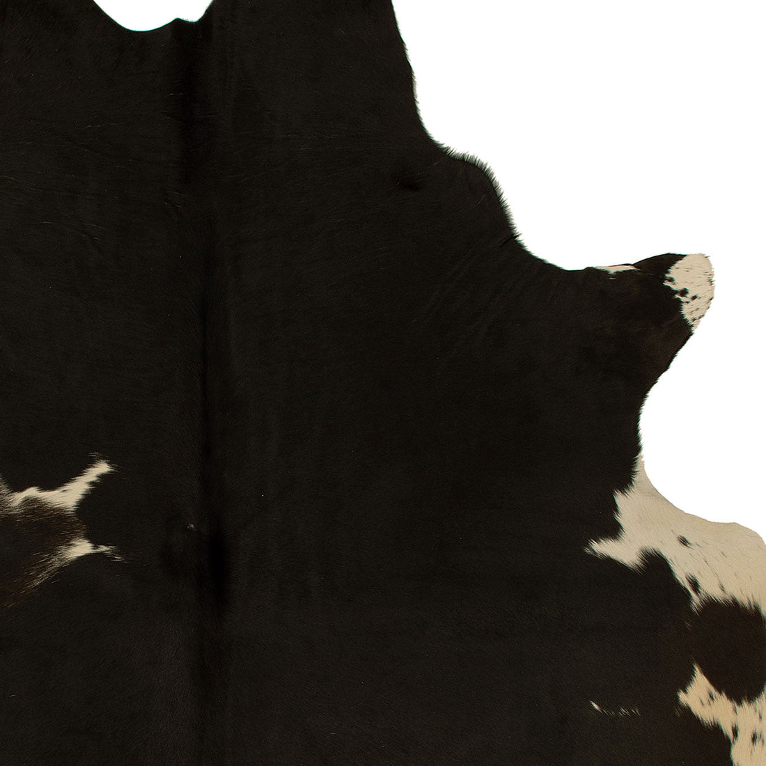 K382 | Unieke Koeienhuid | Donkerbruin | ca. 180 x 160cm