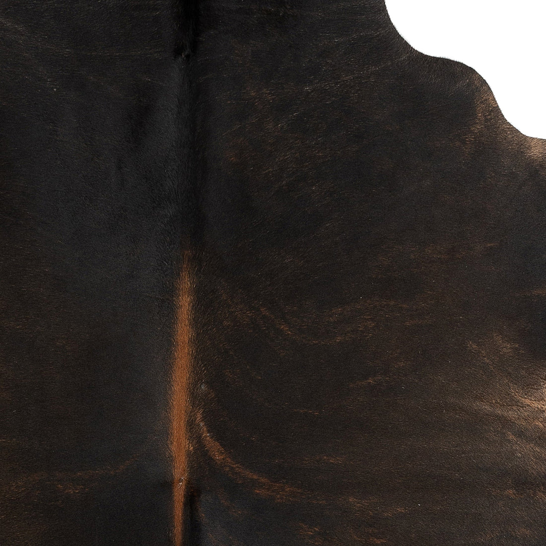 K399 | Unieke Koeienhuid | Donkerbruin | ca. 180 x 160cm